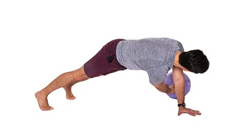 Plank Drag image B